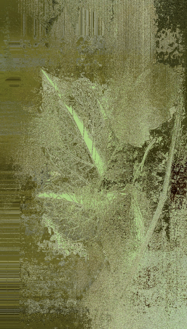 Swedish Landscape 1 — tirage 1