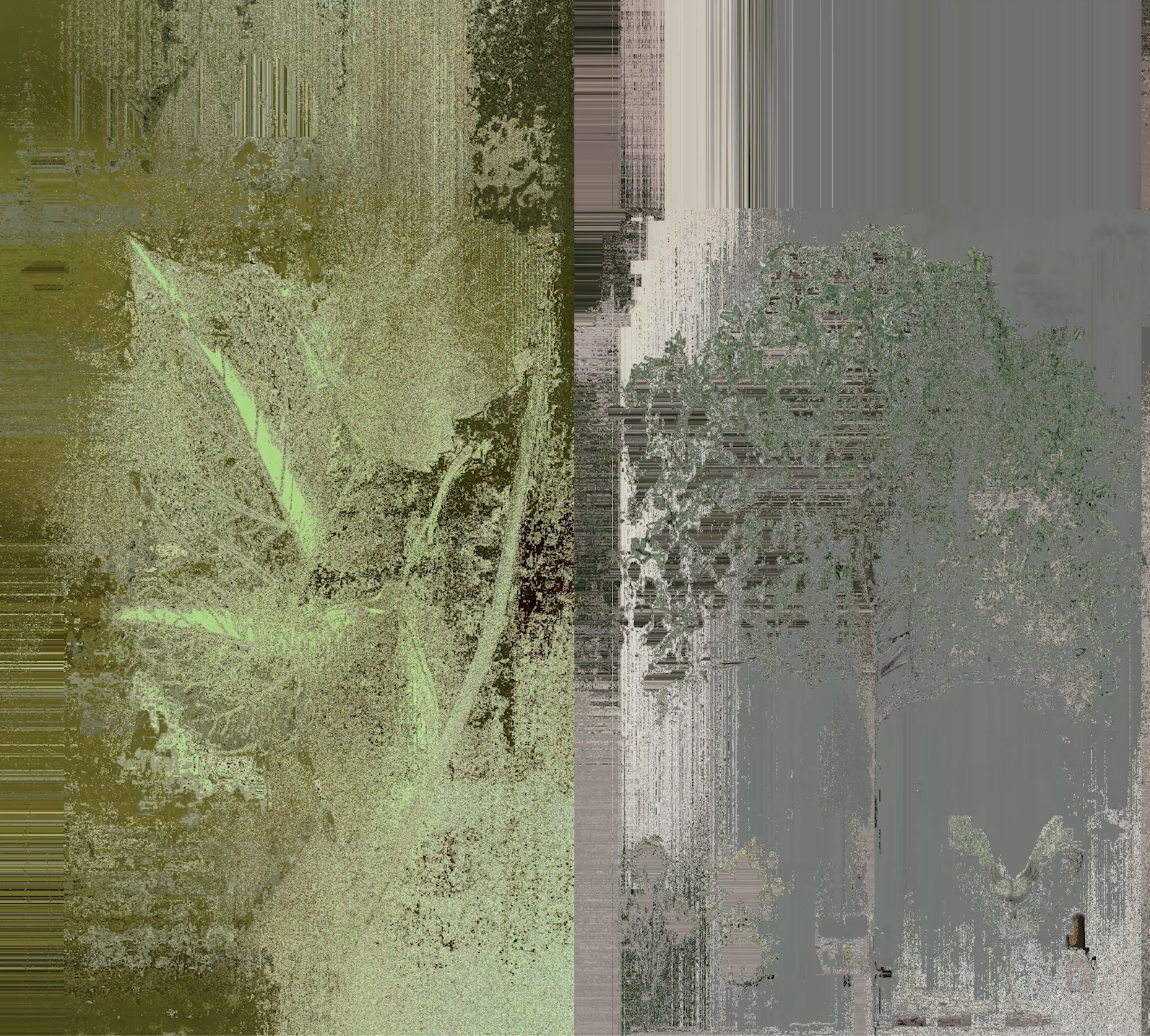 Swedish Landscape 1 — tirage 2