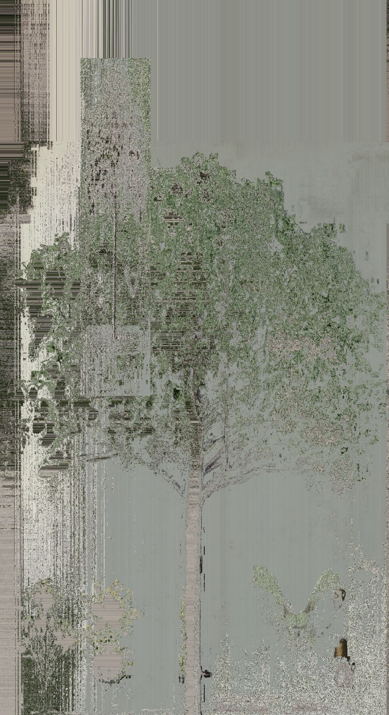 Swedish Landscape 1 — tirage 3
