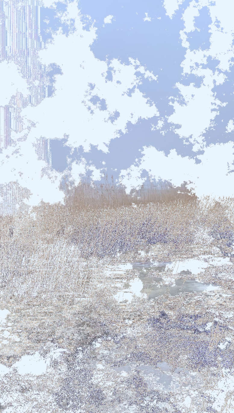 Swedish Landscape 1 — tirage 2